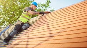 Best Rubber Roofing (EPDM, TPO)  in Fitzgerald, GA