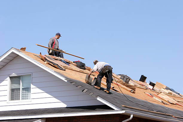 Best Skylight Installation and Repair  in Fitzgerald, GA